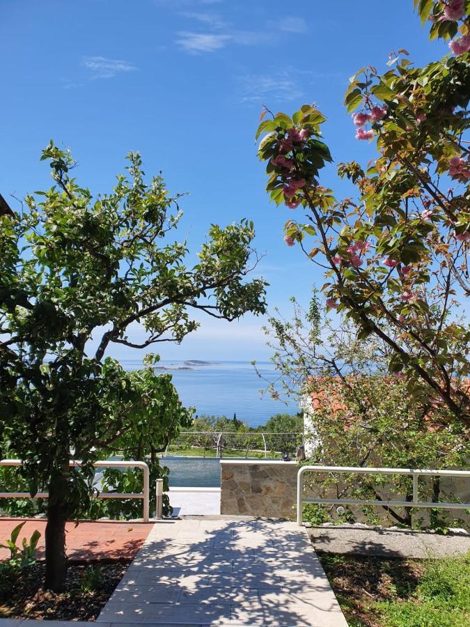 Apartma Apartmani Ana *