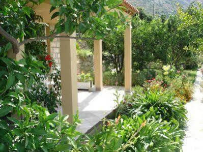 Apartma Apartmani Ana *