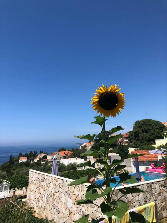 Apartmani Ana Mlini