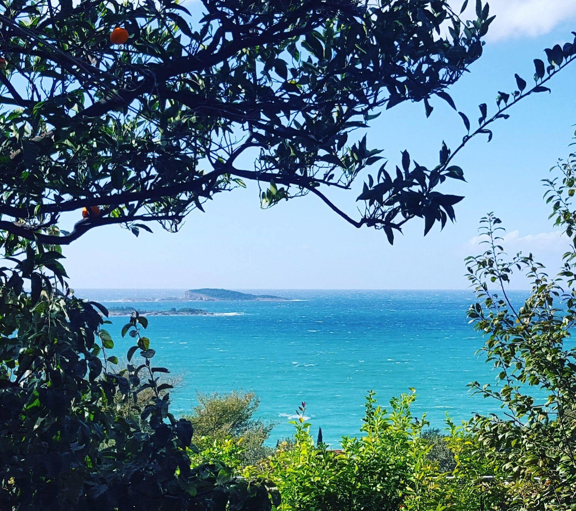 Appartement Ana Mlini