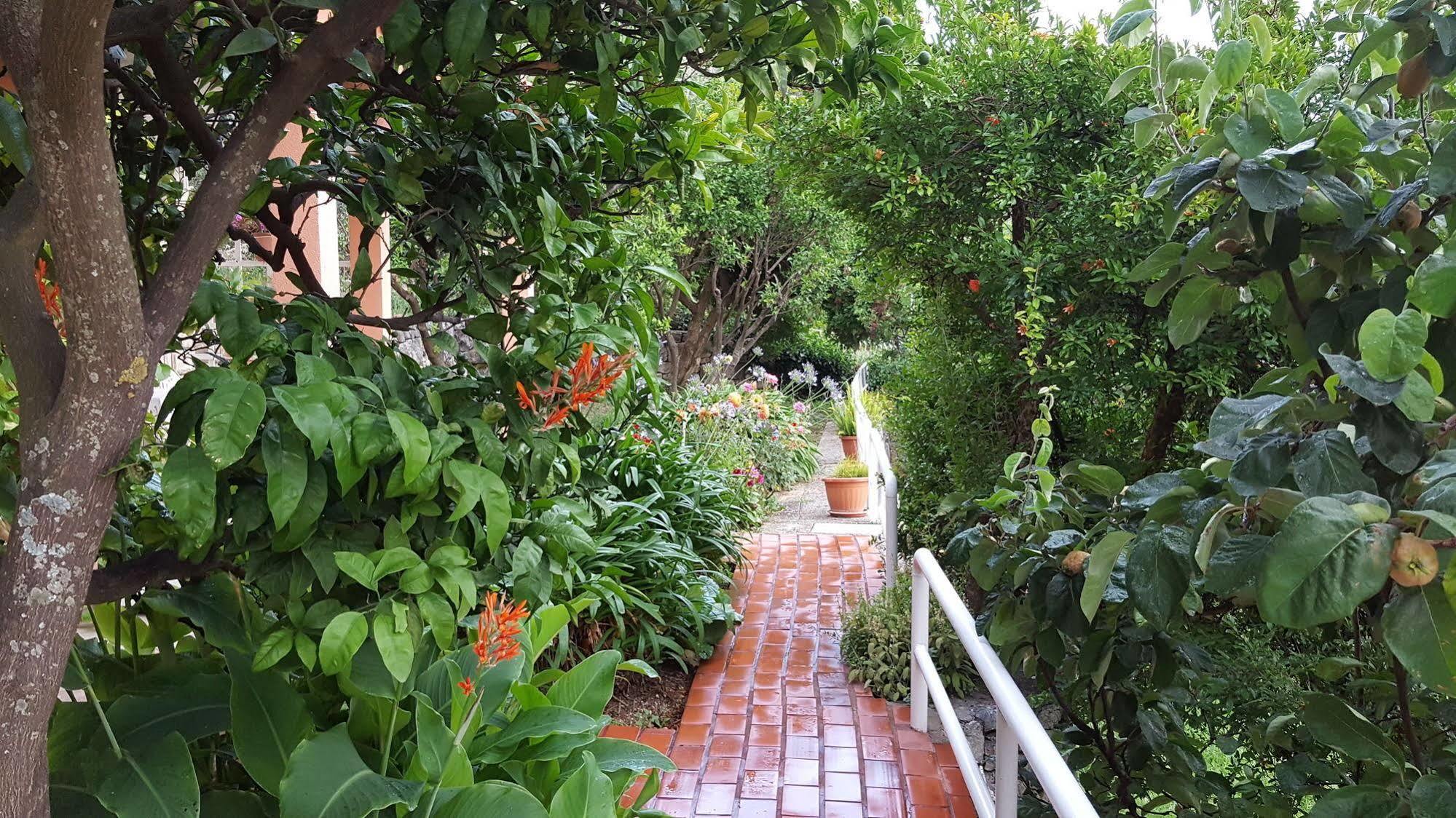 Appartement Ana