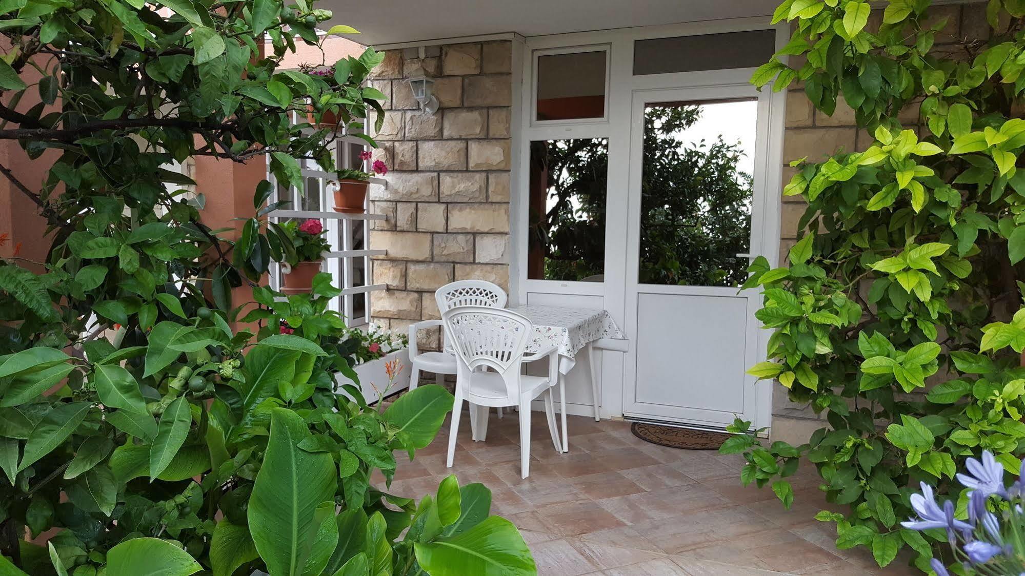 Apartment Apartmani Ana *