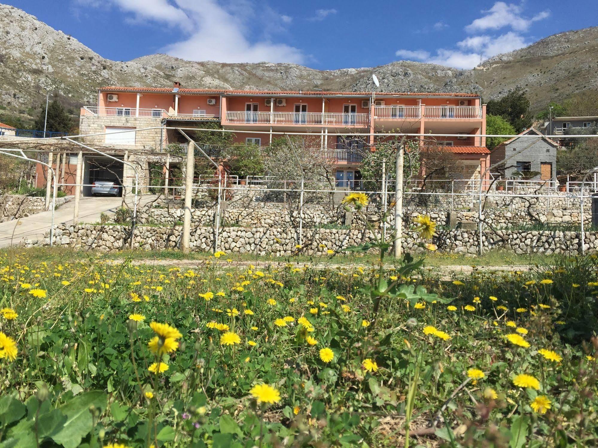 Apartmani Ana